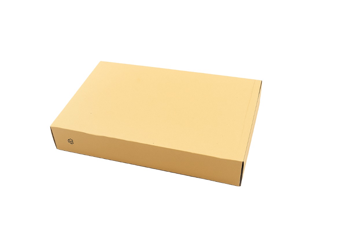 Verzendbox + plakstrip + fixeer tray - 250 x 80 x 353mm 