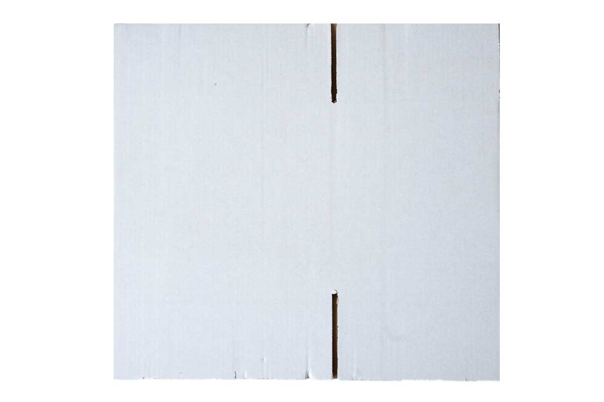 Kartonnen doos wit - 305 x 220 x 150mm (enkele golf)