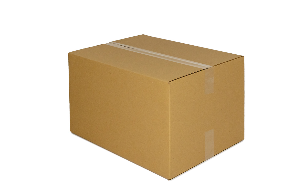 Kartonnen doos - 310 x 220 x 120mm (enkele golf)
