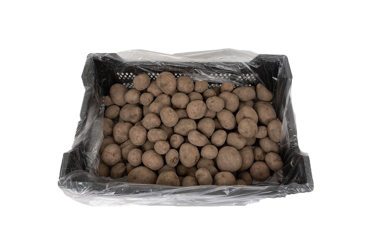 LDPE kratzakken transparant - 60 x 15/15 x 50cm x 20my (250 st)