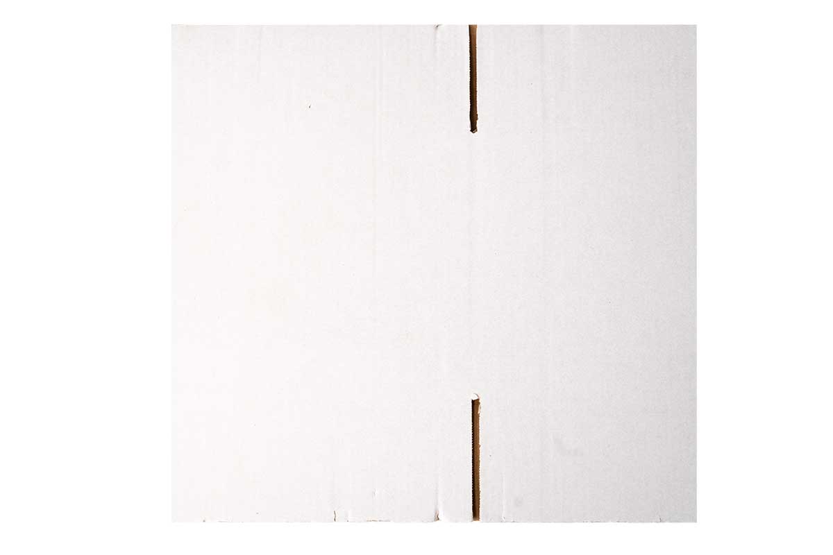 Kartonnen doos wit - 305 x 220 x 250 mm (enkele golf)